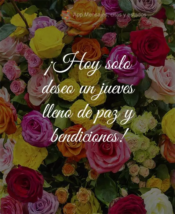 ¡Hoy solo deseo un jueves lleno de paz y bendiciones!