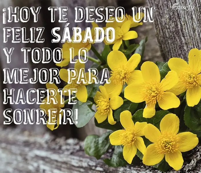¡Hoy te deseo un feliz sábado y todo lo mejor para hacerte sonreír!