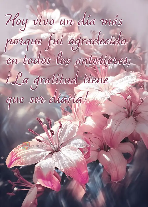 Hoy vivo un día más porque fui agradecido en todos los anteriores; ¡La gratitud tiene que ser diaria!
