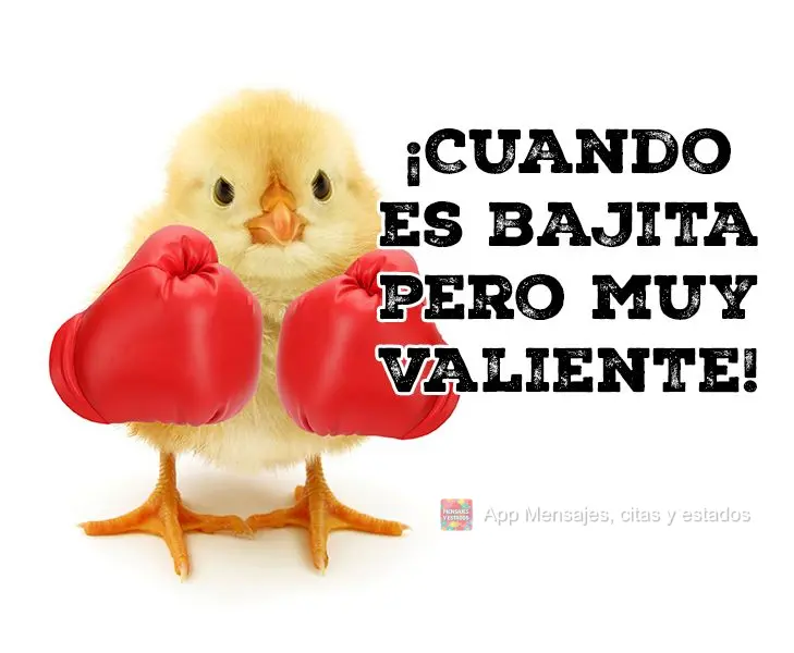 ¡Cuando es bajita pero muy valiente!