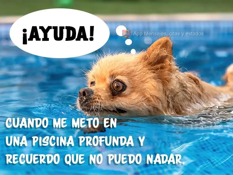 Cuando me meto en una piscina profunda y recuerdo que no puedo nadar. ¡Ayuda!