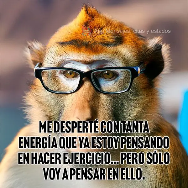 Me desperté con tanta energía que ya estoy pensando en hacer ejercicio... pero sólo voy a pensar en ello.