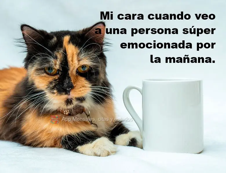 Mi cara cuando veo a una persona súper emocionada por la mañana.