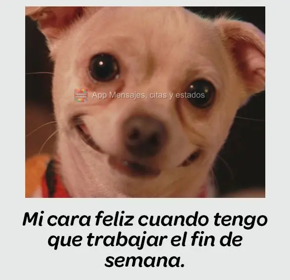 Mi cara feliz cuando tengo que trabajar el fin de semana.