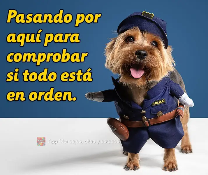 Pasando por aquí para comprobar si todo está en orden.