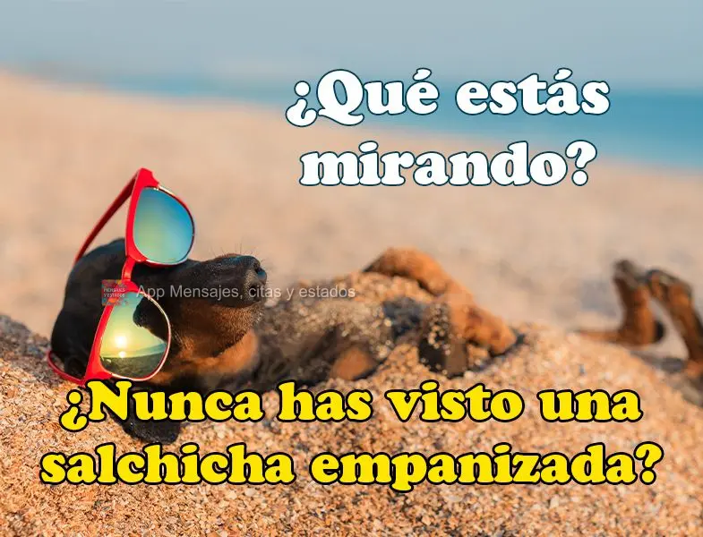¿Qué estás mirando? ¿Nunca has visto una salchicha empanizada?
