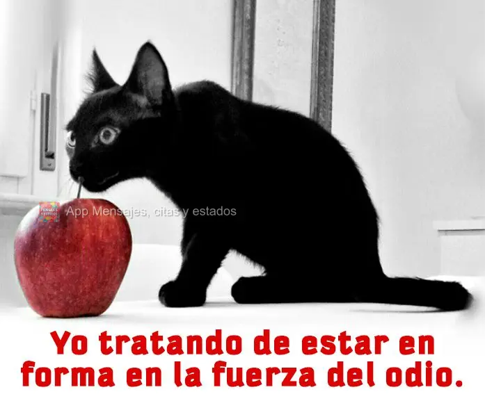 Yo tratando de estar en forma en la fuerza del odio.
