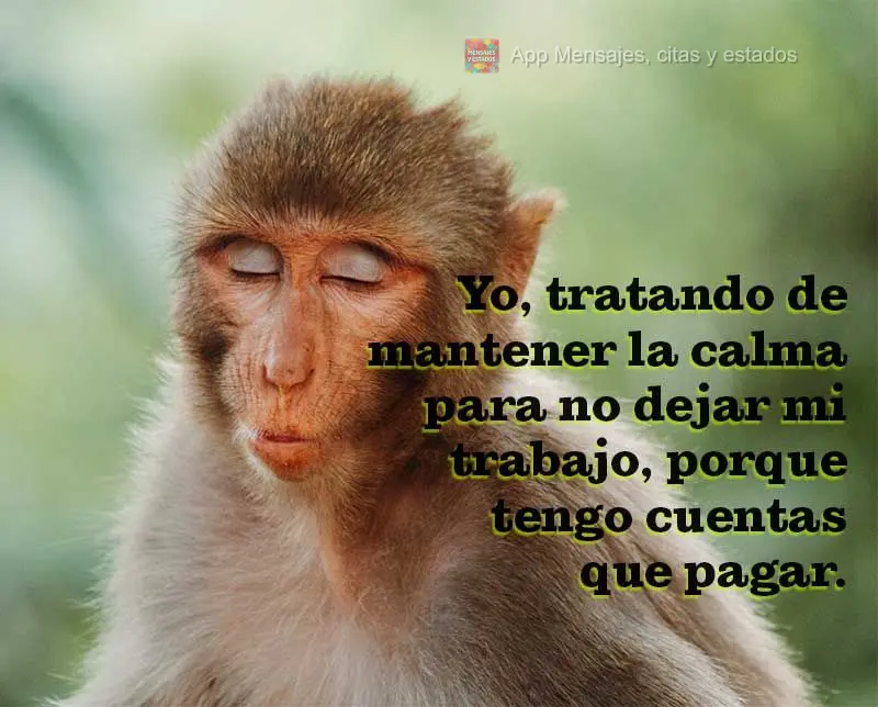 Yo, tratando de mantener la calma para no dejar mi trabajo, porque tengo cuentas que pagar.