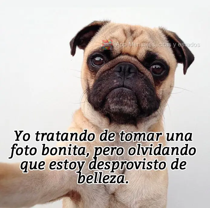 Yo tratando de tomar una foto bonita, pero olvidando que estoy desprovisto de belleza.