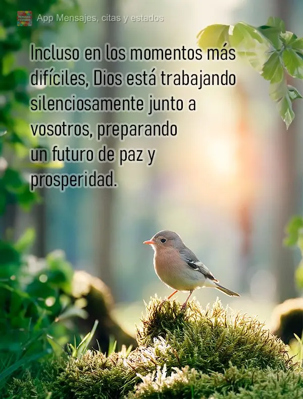 Incluso en los momentos más difíciles, Dios está trabajando silenciosamente junto a vosotros, preparando un futuro de paz y prosperidad.
