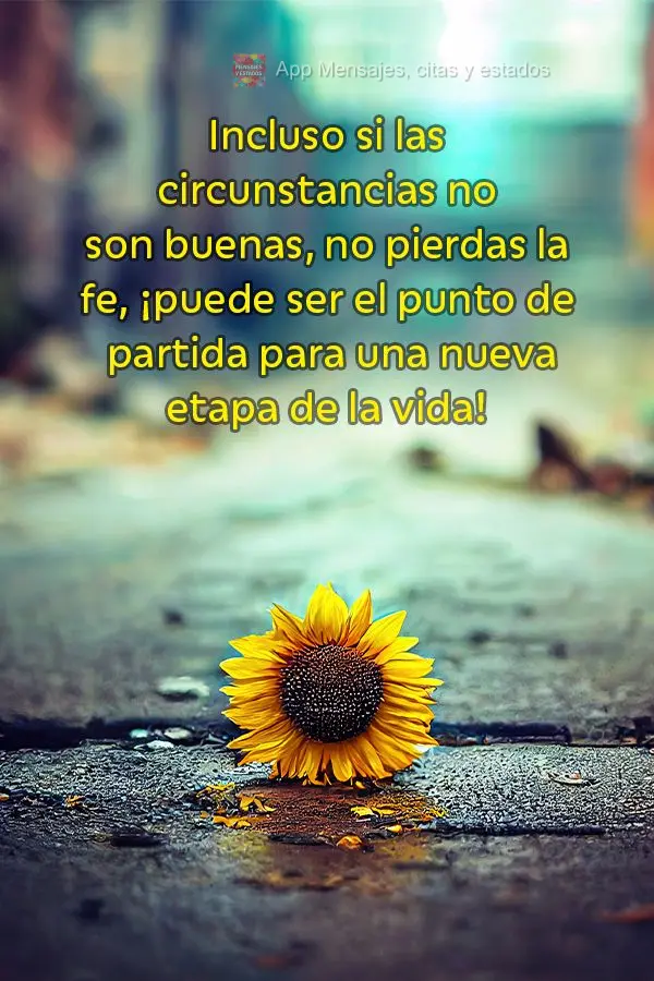 Incluso si las circunstancias no son buenas, no pierdas la fe, ¡puede ser el punto de partida para una nueva etapa de la vida!