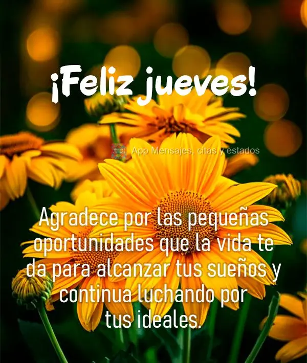 Agradece por las pequeñas oportunidades que la vida te da para alcanzar tus sueños y continua luchando por tus ideales. ¡Feliz jueves!