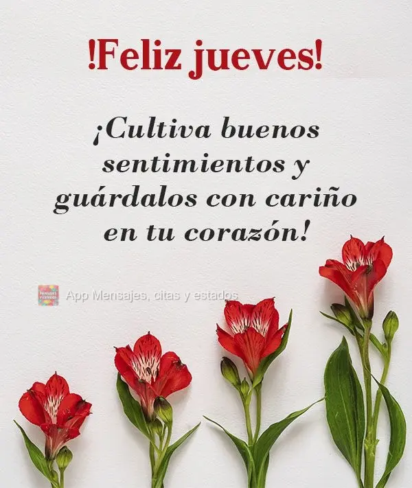 ¡Cultiva buenos sentimientos y guárdalos con cariño en tu corazón! ¡Feliz jueves!