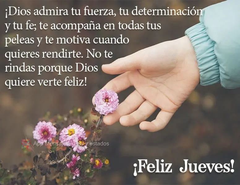 ¡Dios admira tu fuerza, tu determinación y tu fe; te acompaña en todas tus peleas y te motiva cuando quieres rendirte. No te rindas porque Dios quiere...