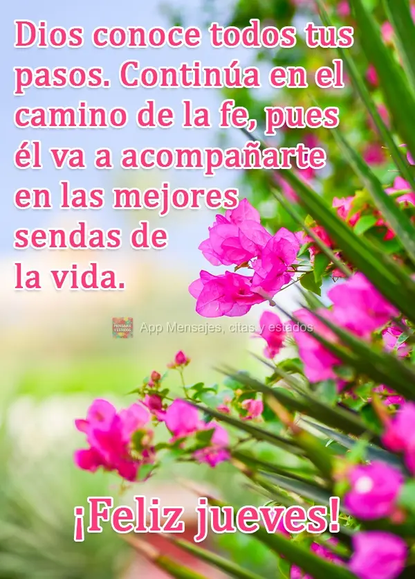 Dios conoce todos tus pasos. Continúa en el camino de la fe, pues él va a acompañarte en las mejores sendas de la vida. ¡Feliz jueves!