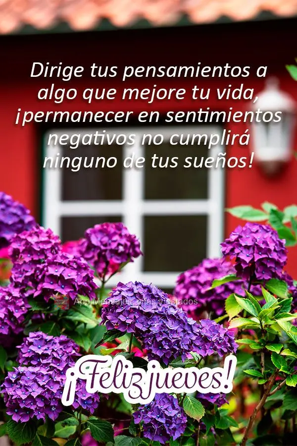 Dirige tus pensamientos a algo que mejore tu vida, ¡permanecer en sentimientos negativos no cumplirá ninguno de tus sueños! ¡Feliz jueves!