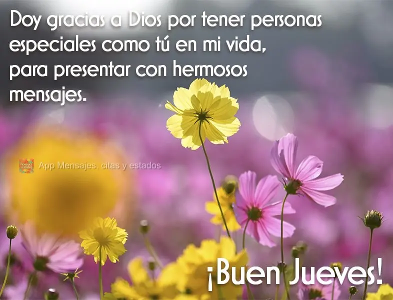 Doy gracias a Dios por tener personas especiales como tú en mi vida, para presentar con hermosos mensajes. ¡Buen jueves!