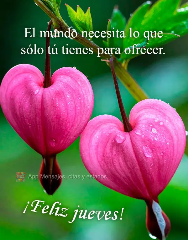 El mundo necesita lo que sólo tú tienes para ofrecer. ¡Feliz jueves!