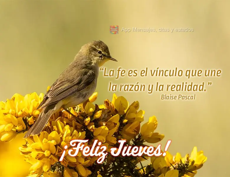“La fe es el vínculo que une la razón y la realidad.” ¡Feliz jueves! Blaise Pascal