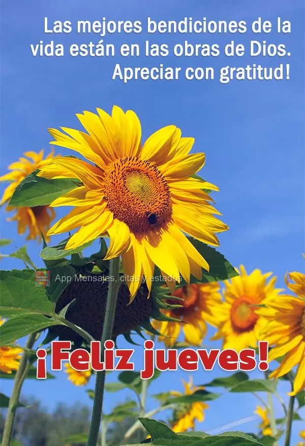 Las mejores bendiciones de la vida están en las obras de Dios. Apreciar con gratitud! ¡Feliz jueves!