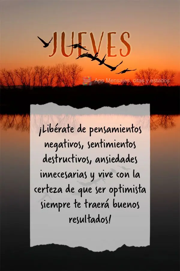 ¡Libérate de pensamientos negativos, sentimientos destructivos, ansiedades innecesarias y vive con la certeza de que ser optimista siempre te traerá b...