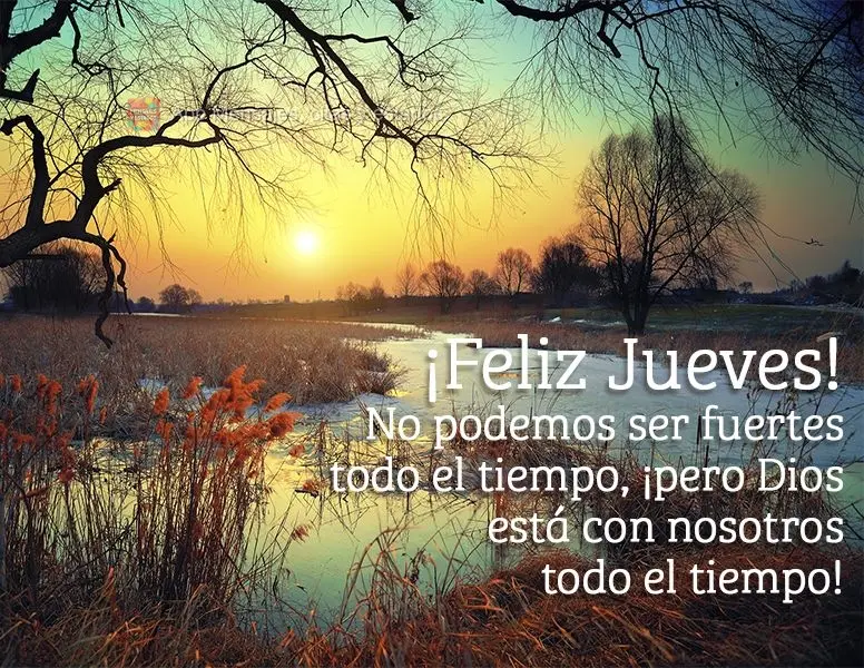 No podemos ser fuertes todo el tiempo, ¡pero Dios está con nosotros en todo momento! ¡Feliz jueves!