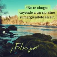 “No te ahogas cayendo a un río, sino sumergiéndote en él”. ¡Feliz jueves!  Paulo Coelho