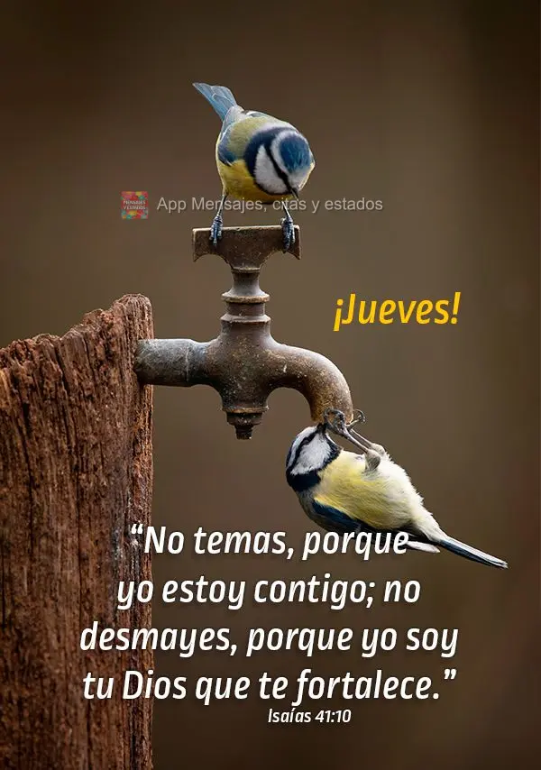 “No temas, porque yo estoy contigo; no desmayes, porque yo soy tu Dios que te fortalece.” ¡Jueves! Isaías 41:10
