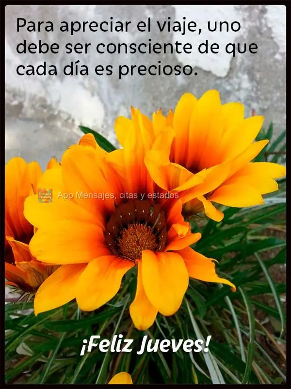 Para apreciar el viaje, uno debe ser consciente de que cada día es precioso. ¡Feliz jueves!