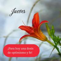¡Para hoy una dosis de optimismo y fe! Jueves