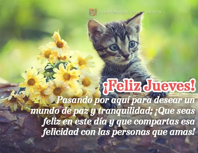 Pasando por aquí para desear un mundo de paz y tranquilidad; ¡Que seas feliz en este día y que compartas esa felicidad con las personas que amas! ¡Fe...