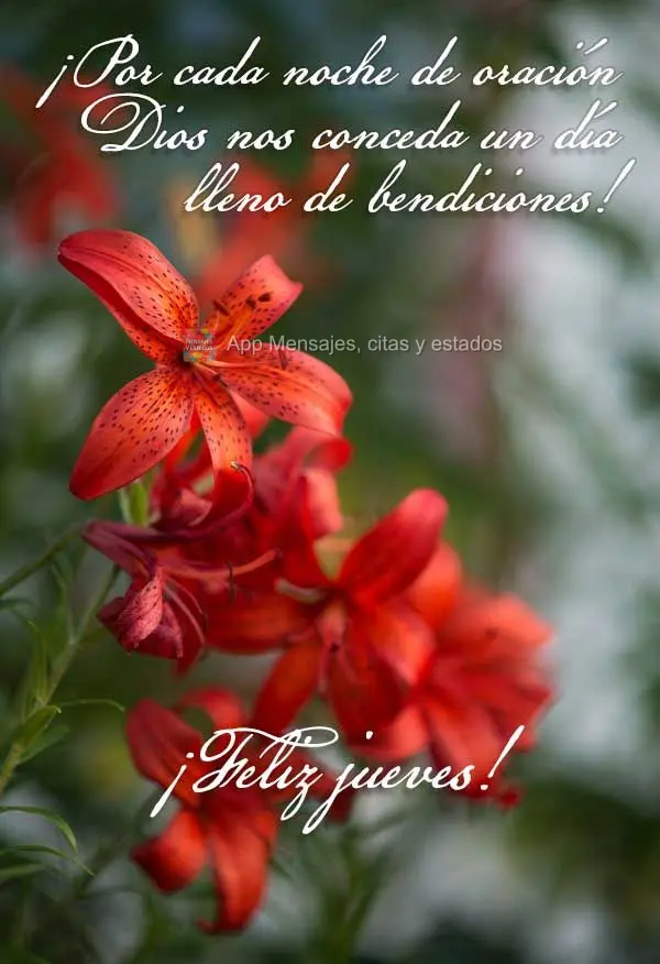 ¡Por cada noche de oración Dios nos conceda un día lleno de bendiciones! ¡Feliz jueves!