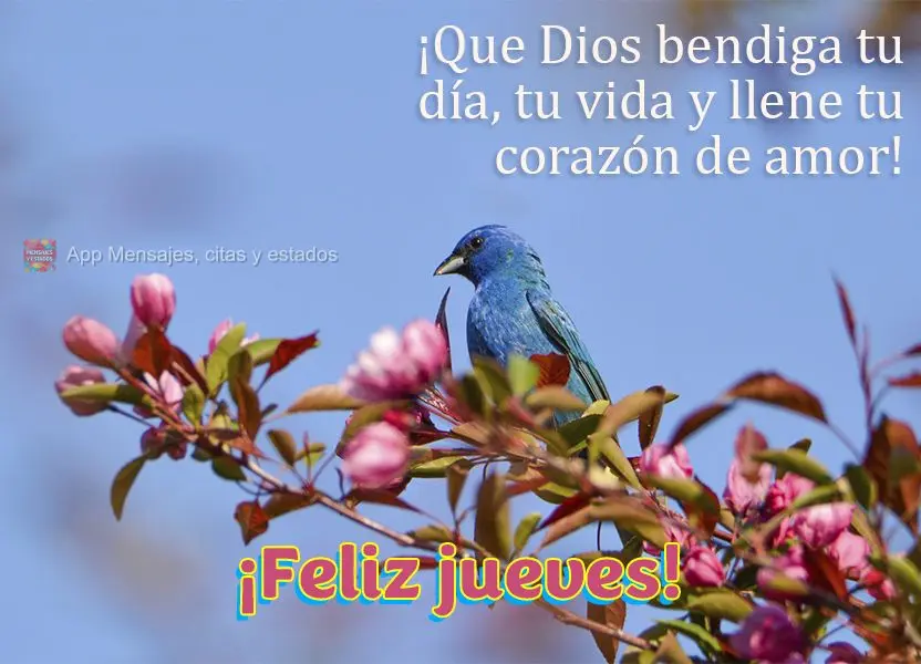 ¡Que Dios bendiga tu día, tu vida y llene tu corazón de amor! ¡Feliz jueves!