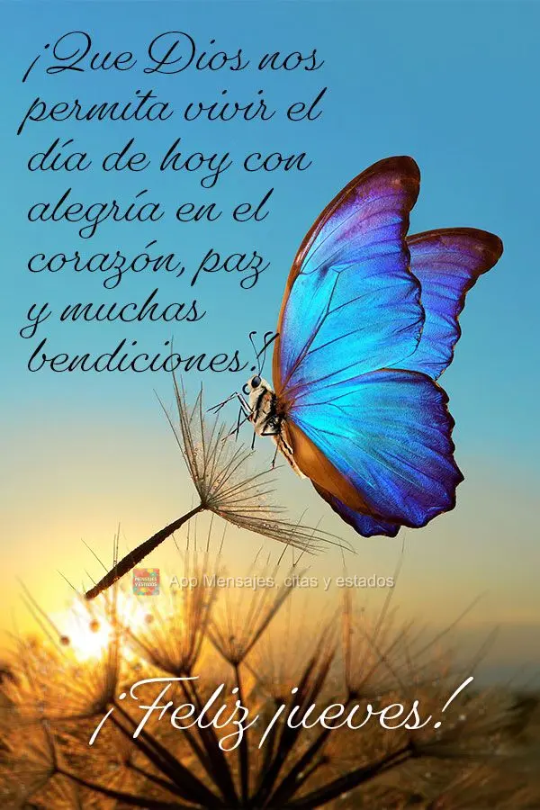 ¡Que Dios nos permita vivir el día de hoy con alegría en el corazón, paz y muchas bendiciones! ¡Feliz jueves!