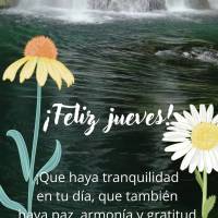 ¡Que haya tranquilidad en tu día, que también haya paz, armonía y gratitud, porque te mereces las mejores cosas que agradan al corazón! ¡Feliz juev...