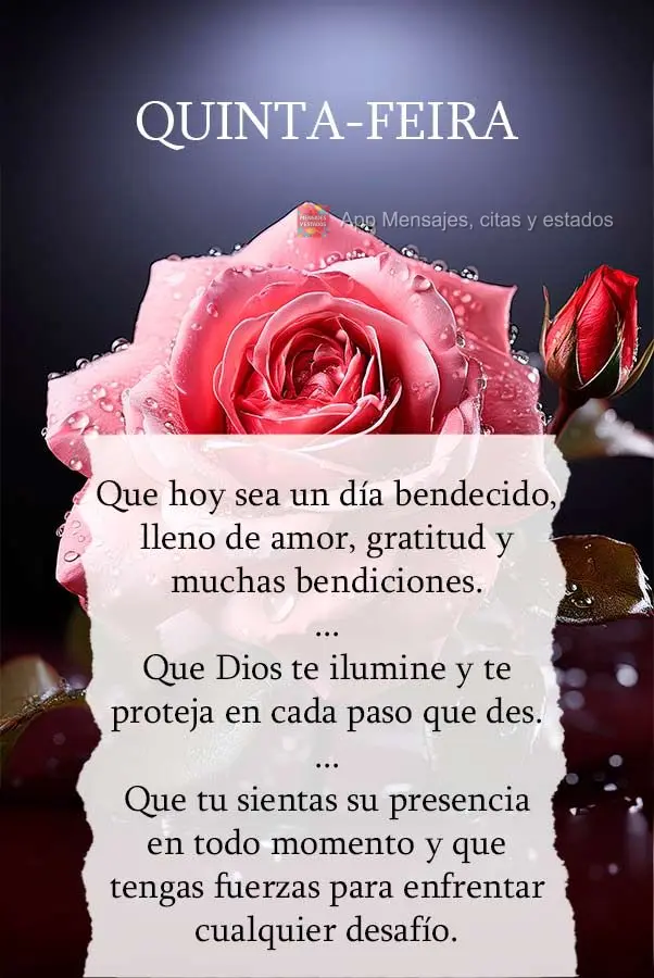 Que hoy sea un día bendecido, lleno de amor, gratitud y muchas bendiciones. Que Dios te ilumine y te proteja en cada paso que des. Que tu sientas su pre...