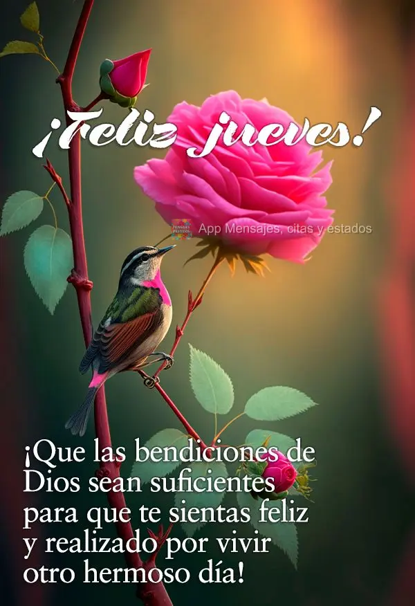 ¡Que las bendiciones de Dios sean suficientes para que te sientas feliz y realizado por vivir otro hermoso día! ¡Feliz jueves!