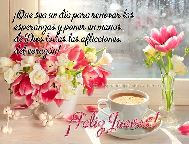 ¡Que sea un día para renovar las esperanzas y poner en manos de Dios todas las aflicciones del corazón! ¡Feliz jueves!