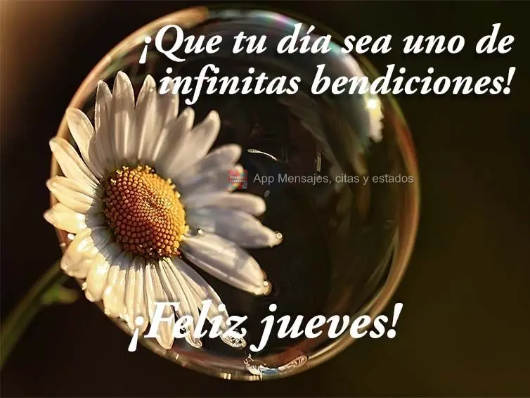 ¡Que tu día sea uno de infinitas bendiciones! ¡Feliz jueves!