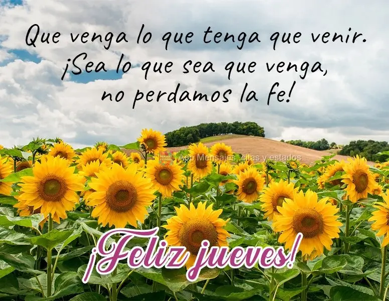 Que venga lo que tenga que venir. ¡Sea lo que sea que venga, no perdamos la fe! ¡Feliz jueves!