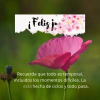 Recuerda que todo es temporal, incluidos los momentos difíciles. La vida está hecha de ciclos y todo pasa. ¡Feliz jueves!