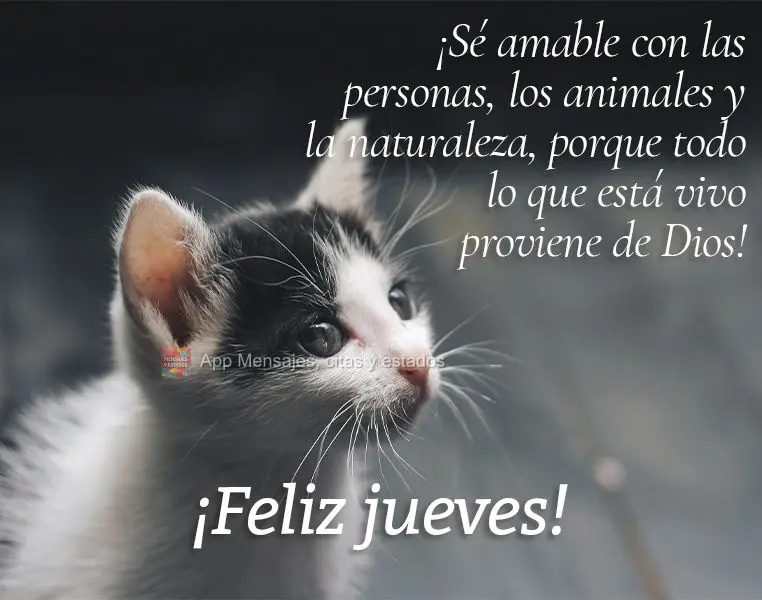 ¡Sé amable con las personas, los animales y la naturaleza, porque todo lo que está vivo proviene de Dios! ¡Feliz jueves!