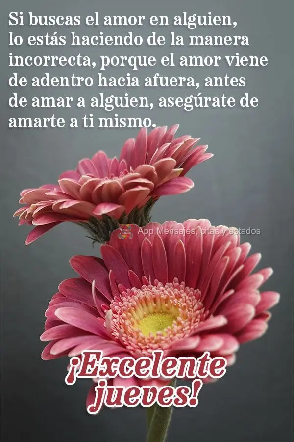 Si buscas el amor en alguien, lo estás haciendo de la manera incorrecta, porque el amor viene de adentro hacia afuera, antes de amar a alguien, asegúra...