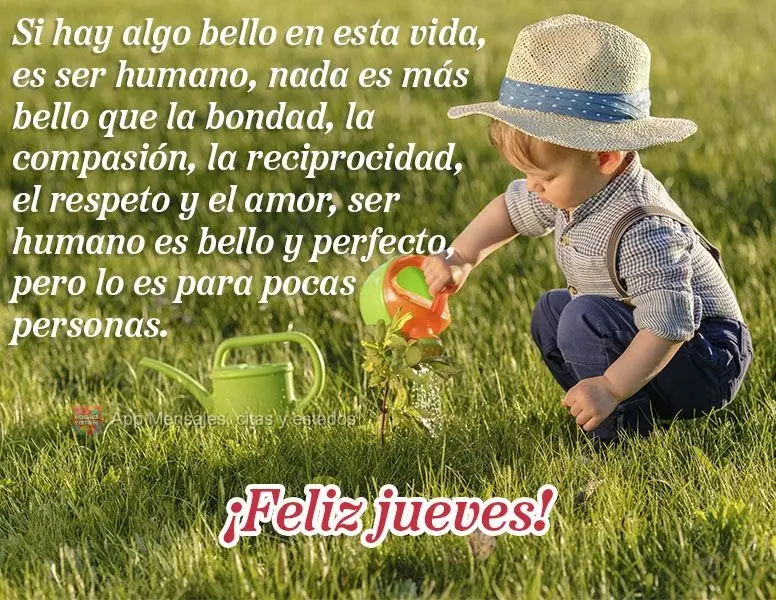 Si hay algo bello en esta vida, es ser humano, nada es más bello que la bondad, la compasión, la reciprocidad, el respeto y el amor, ser humano es bell...