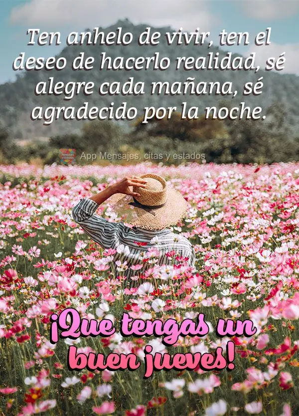 Ten anhelo de vivir, ten el deseo de hacerlo realidad, sé alegre cada mañana, sé agradecido por la noche. ¡Que tengas un buen jueves!