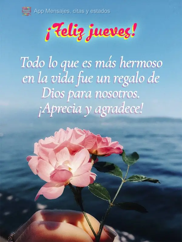 Todo lo que es más hermoso en la vida fue un regalo de Dios para nosotros. ¡Aprecia y agradece! ¡Feliz jueves!