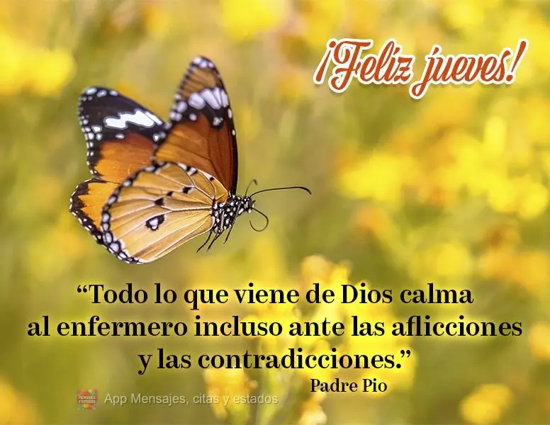 "Todo lo que viene de Dios calma al enfermero incluso ante las aflicciones y las contradicciones". ¡Feliz jueves! Padre Pio