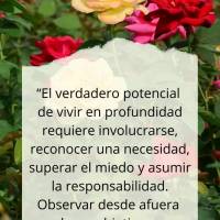 “El verdadero potencial de vivir en profundidad requiere involucrarse, reconocer una necesidad, superar el miedo y asumir la responsabilidad. Observar ...