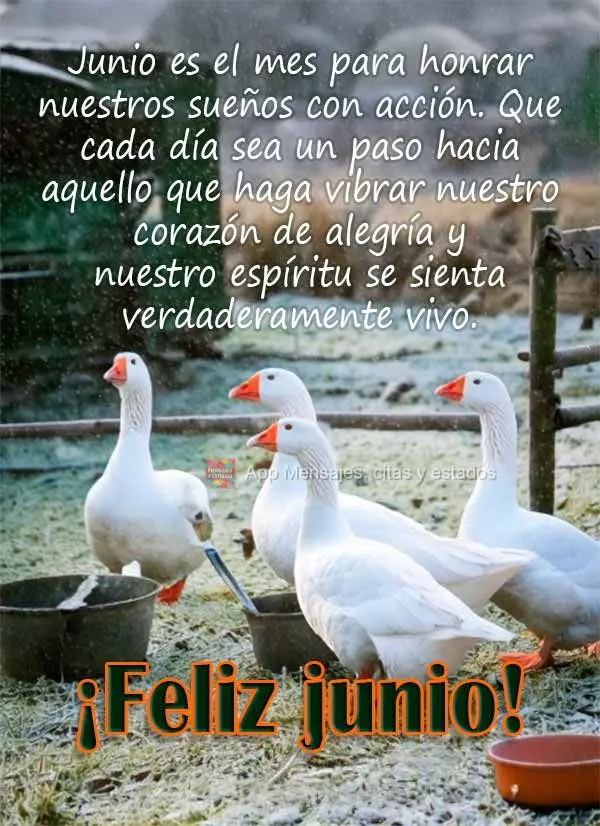 Junio ​​es el mes para honrar nuestros sueños con acción. Que cada día sea un paso hacia aquello que haga vibrar nuestro corazón de alegría y nu...