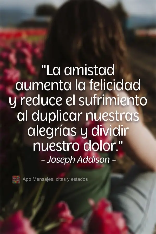 "La amistad aumenta la felicidad y reduce el sufrimiento al duplicar nuestras alegrías y dividir nuestro dolor". Joseph Addison